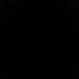 Meet your Posher, Haydn